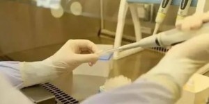 杭州供卵试管婴儿医院排名好的有哪些？