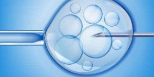 浙江东阳人民医院可以做供卵试管婴儿吗？试管成功率高吗？