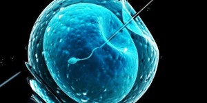 2022湖南生殖医院排名前十，供卵试管助孕成功率一览！