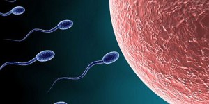 二代试管技术如何对精子进行优化处理？