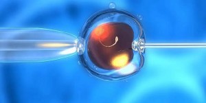 做试管优质胚胎就一定都是男孩吗？