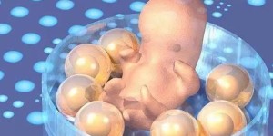 2022上海供卵试管婴儿医院成功率排名一览？
