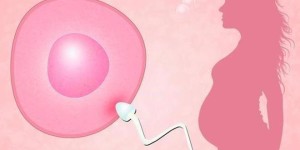2023烟台供卵试管机构排名，附辅助助孕生殖机构一览！