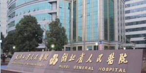 2022年武汉大学人民医院第三代试管包生男孩多少费用？