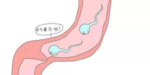 输卵管堵塞的女性，靠自己还能生二胎和三胎吗？