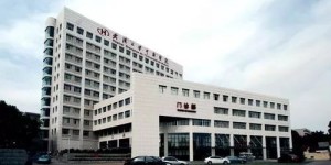 2022年武汉大学中南医院做第三代试管包生男孩多少费用？