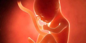 武汉三代试管婴儿助孕技术包生男孩是真的吗？