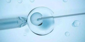 山东大学齐鲁医院可以做供卵试管婴儿吗？附费用与成功率参考？