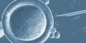 2022重庆供卵助孕机构排名？附供卵助孕成功率明细？