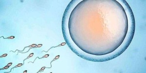 武汉供卵试管婴儿医院排名？哪家医院做供卵试管比较好？