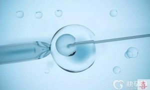 2023年辽宁省赠卵试管助孕费用明细价格一览表！