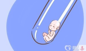 试管婴儿可以选择宝宝性别吗？费用是多少？