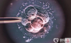 2023国家卫健委科研所做赠卵试管婴儿费用要多少钱？