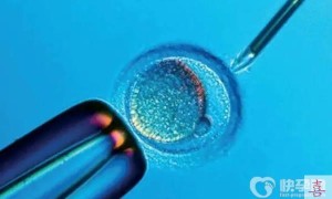 试管婴儿胚胎移植后能吃生蚝吗？附试管助孕详细流程