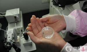 2023年格鲁吉亚高龄试管赠卵费用是多少？