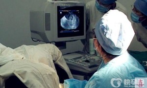 武汉赠卵试管婴儿移植前关于胚胎着床率的注意事项！