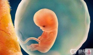 2023辽宁正规的赠卵助孕机构！拥有精子库医院有哪些？
