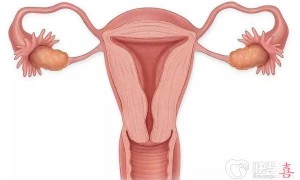 卵巢早衰有什么征兆吗？内附卵巢早衰的8大征兆