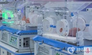 2024北京试管选子医院排名前十的有哪些费用多少钱？