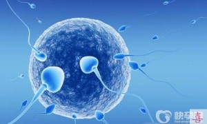 2024广东试管助孕生子：赠卵孩费用明细