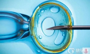 试管卵试管婴儿通常需要多少钱？成功率多少？