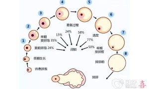 重庆哪家赠卵试管医院孩更有优势？