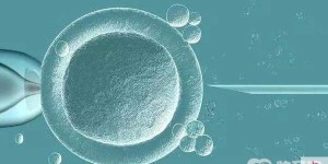 重庆试管机构做试管婴儿的精子成活率是多少？