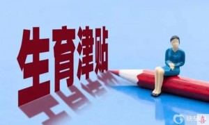 广东省生育津贴2024最新政策发放标准？