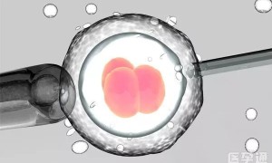 青海供卵试管机构排名出炉，附最新助孕费用及流程参考！