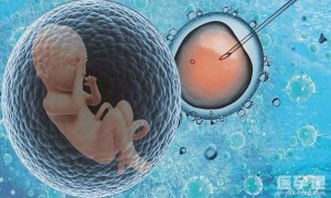 国内正规试管医院的三代试管医生知道胚胎性别吗？