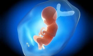 男性染色体异常做试管婴儿，男性染色体异常做试管婴儿会遗传吗?