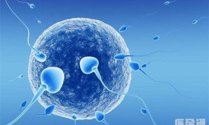 郑州哪家私立生殖中心做供卵试管婴儿能包成功包生男孩？