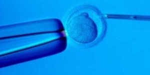 贵阳医学院做试管婴儿不能选男女，揭开辅助生殖性别谜团！