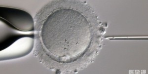 离异的单身女人可以去精子库买精子做试管婴儿吗？