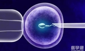 越南试管选男女试管胚胎费用多少钱？