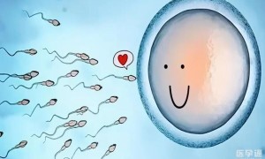 2024越南婴儿胚胎能选男女吗多少钱？