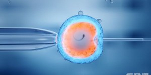 高龄做试管一般要攒多少胚胎再移植成功率高？