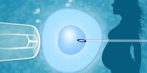女同性恋做试管可以怀双胞胎吗？试管放2个胚胎成功率有多少？