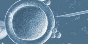 2022年北京家恩德运可以做供卵试管婴儿吗？成功率高吗？