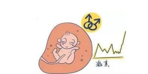 北京协和医院试管婴儿成功率高吗