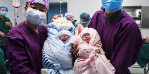 国内做试管婴儿成功率最高的医院是哪些