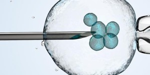 成都中医药大学第二附属医院可以做供卵试管婴儿吗
