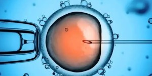 鲜胚移植6天可以测出来吗？
