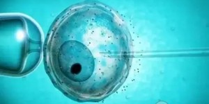 2022年上海瑞金医院供卵费用多少？附瑞金供卵流程一览