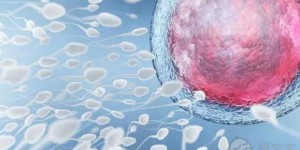 冻胚移植前的检查项目一览，这六项妇科检查缺一不可