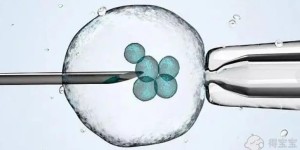 2022女性卵巢早衰要想有孩子做供卵试管有用吗?