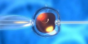 2023长沙卵巢早衰供卵试管排队时间分析，目前排队时间相差并不大 ​