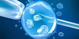 容易通过检测的胚胎是什么样子的呢？