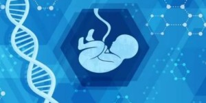 胚胎植入子宫内膜的全过程需要多久？