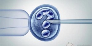 卵巢早衰还能做试管吗？哪些情况才能做试管？